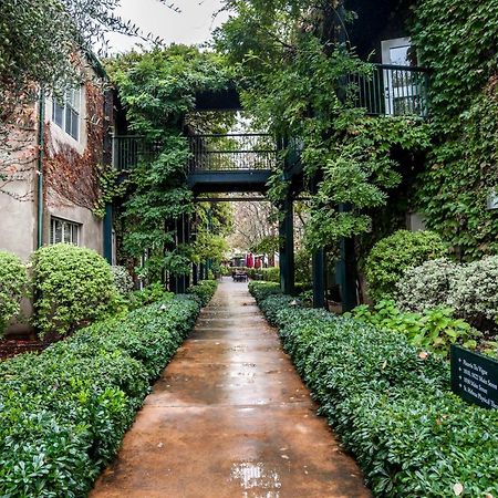 Southbridge Napa Valley Сент-Гелена Екстер'єр фото
