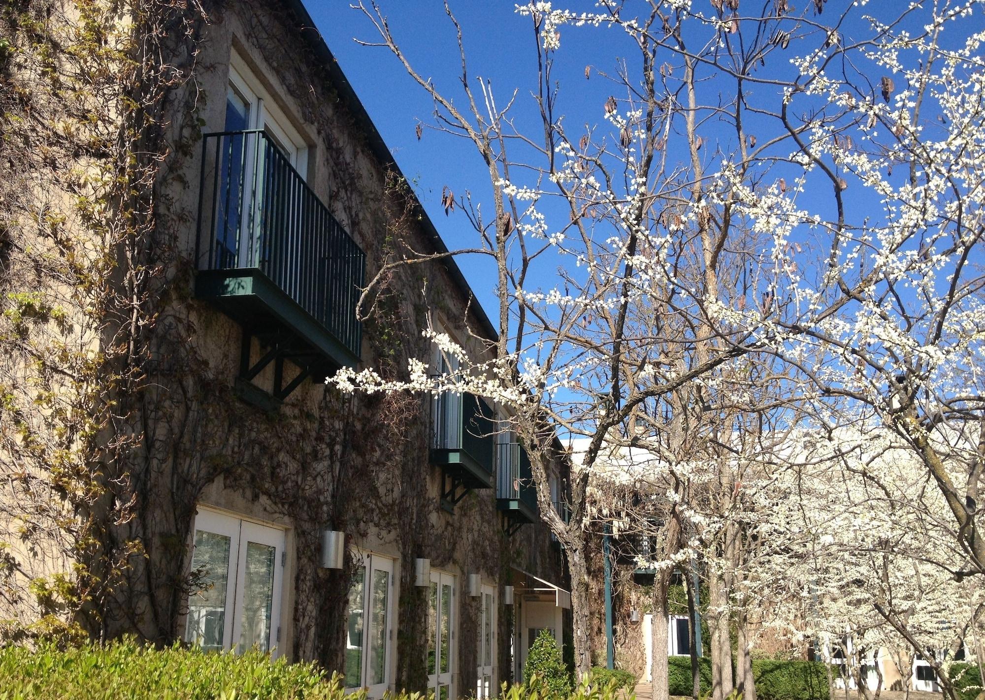 Southbridge Napa Valley Сент-Гелена Екстер'єр фото